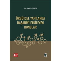 Örgütsel Yapılarda Başarıyı Etkileyen Konular